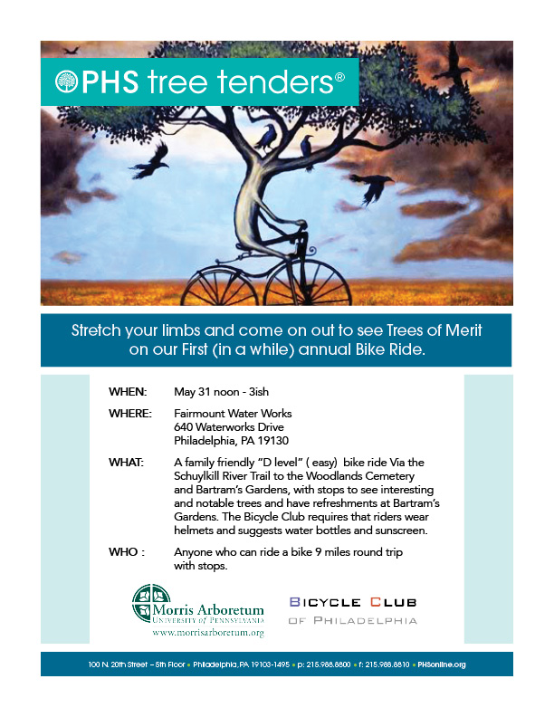 2015 Tree Bike Ride